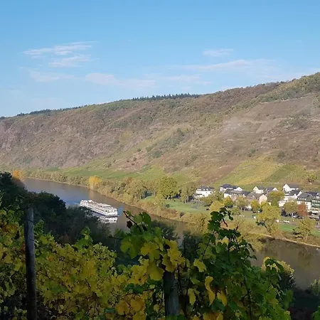 Weinhotel Sonnenschein Pensión 3*