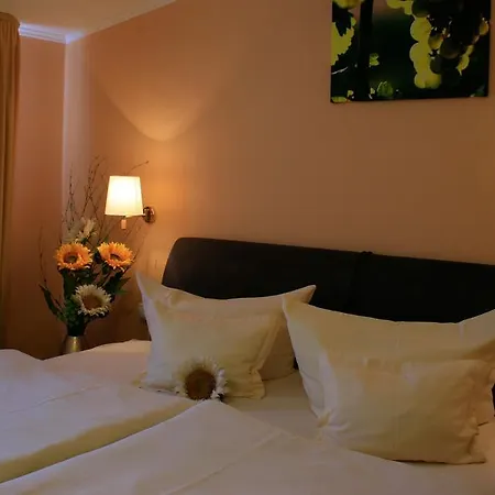 Guest house Weinhotel Sonnenschein 3*