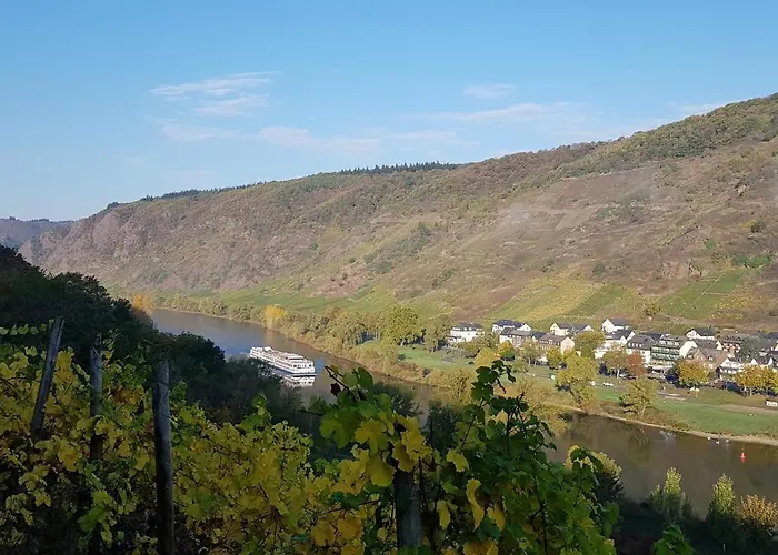 Weinhotel Sonnenschein Gasthuis 3*