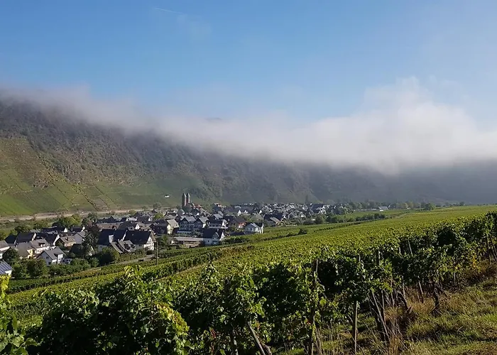 Weinhotel Sonnenschein 3* Ernst